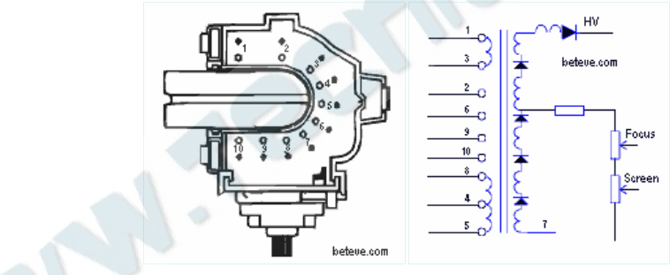 Schematic diagram for HR 8446
